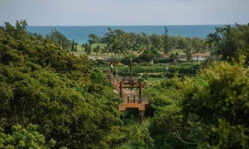 End7Bridge_gallery End7Bridge_gallery