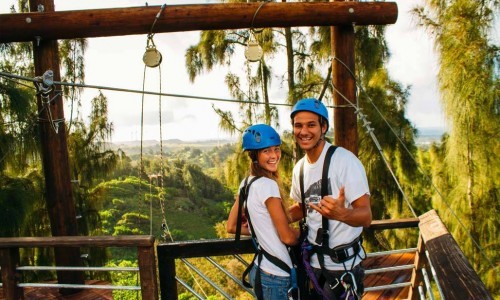 SeekBreeShaka_gallery SeekBreeShaka_gallery