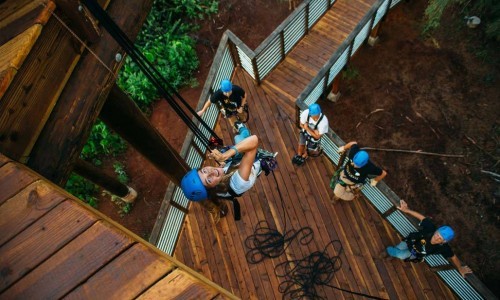 Bree_gallery Bree_gallery