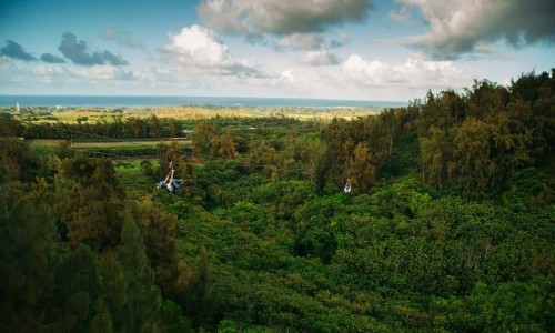 Line4_gallery Line4_gallery