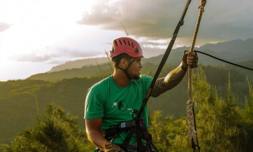 Pai_gallery Pai_gallery