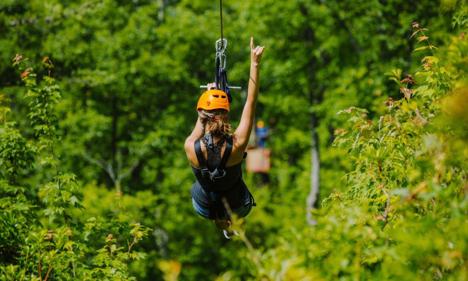 person riding a zipline in the smoky mountains from behind