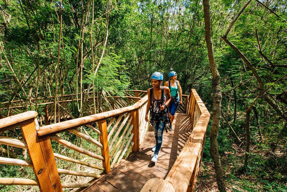 Bamboo-walk This image is by CLIMB Works.