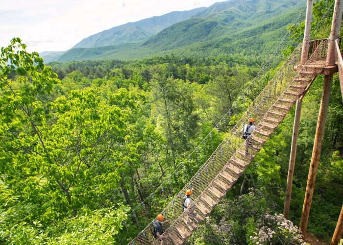 mt4-compressor mt4-compressor