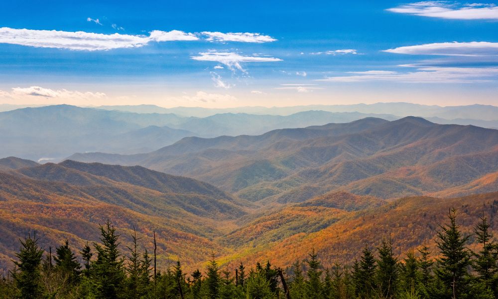 blue sky behind colorful fall foliage in the smoky mountains
