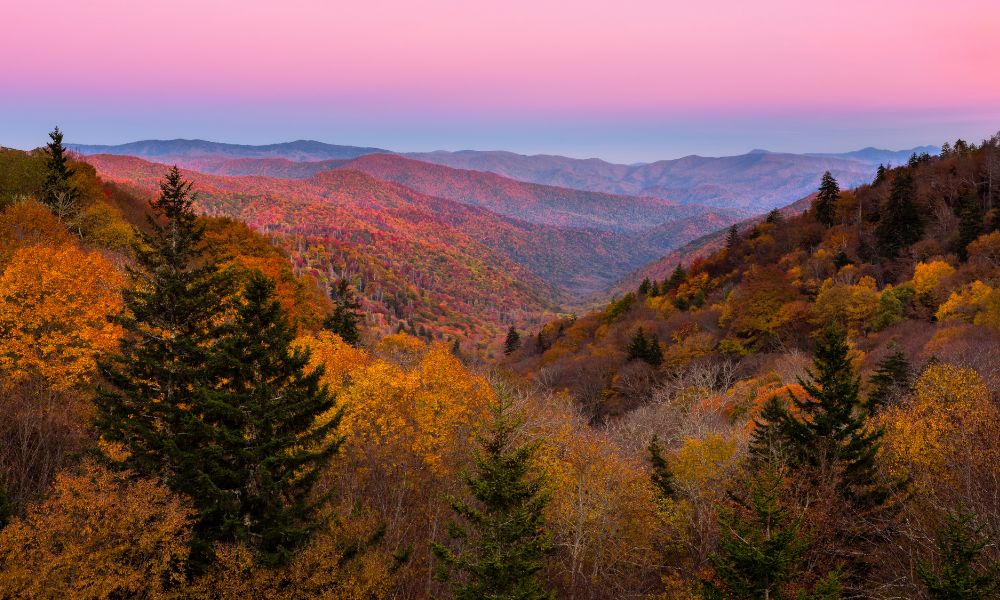 pink sky behind fall foliage in the smoky mountains