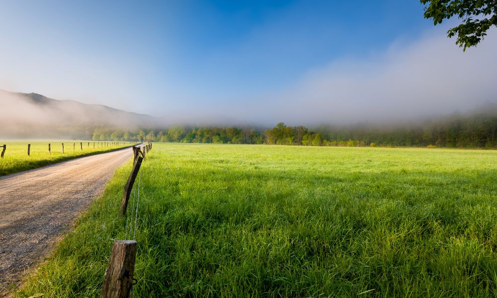 low clouds and sunlight hitting a green field in cades cove smoky mountains