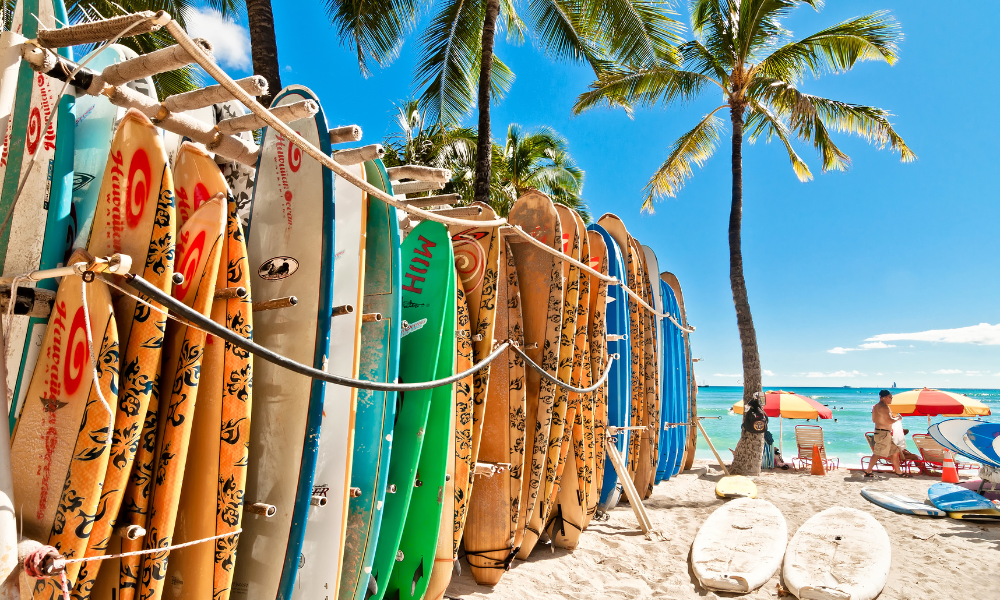 rack of colorful surfboards at waikiki beach in honolulu hawaii