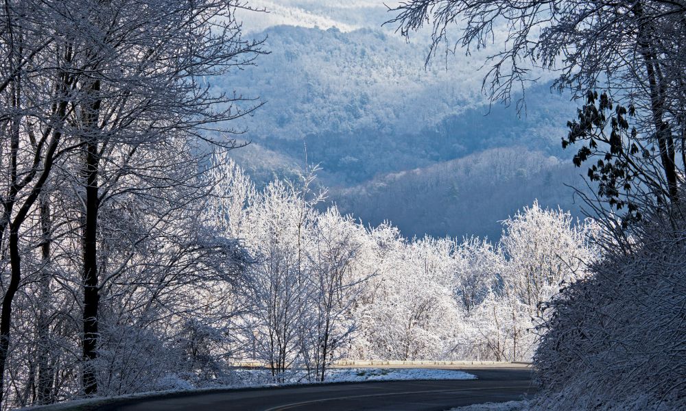 a snowy winter scene on a road in the smoky mountains